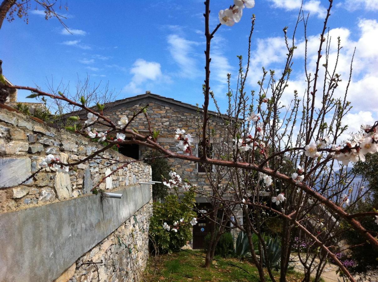 Pyrgos Traditional Village Ágios Kírykos المظهر الخارجي الصورة