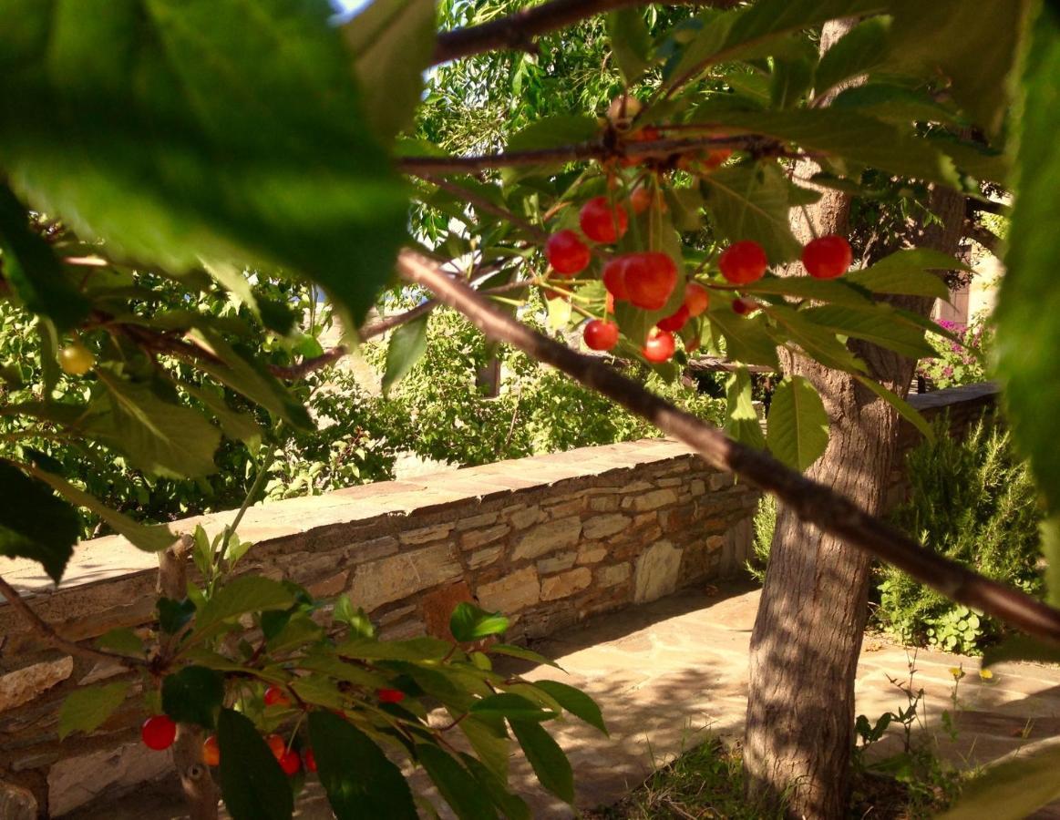 Pyrgos Traditional Village Ágios Kírykos المظهر الخارجي الصورة